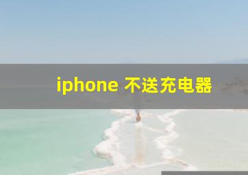 iphone 不送充电器